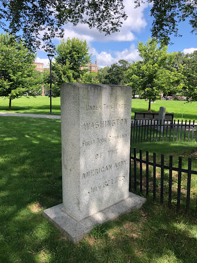 Park «Cambridge Common Park», reviews and photos, Waterhouse St & Massachusetts Ave, Cambridge, MA 02138, USA