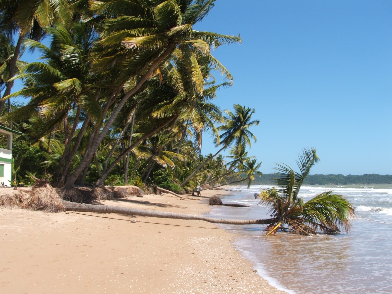 Fotografija Mayaro beach z dolga ravna obala