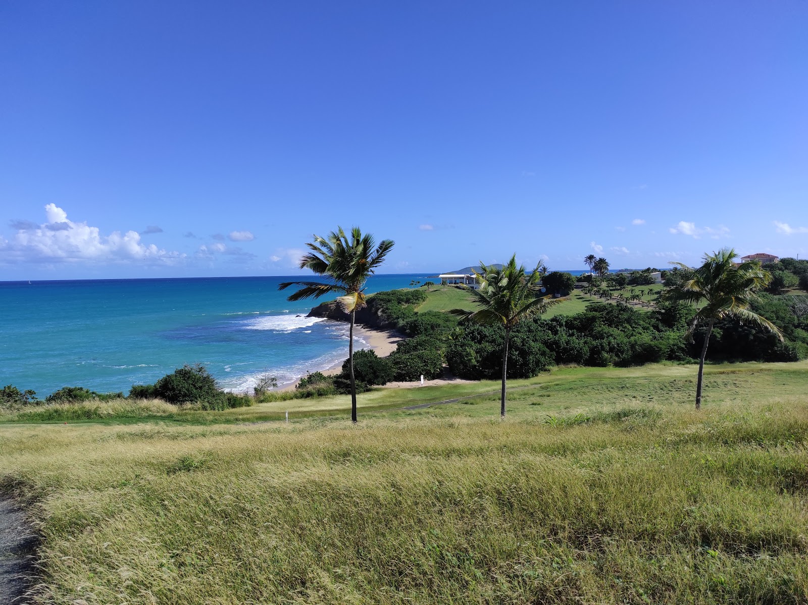 Fotografija Buccaneer beach z prostoren zaliv