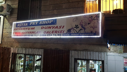 Aşiyan Akvaryum Pet Shop
