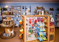 Naturally Dogs and Cats DIY Dog Wash & Biscuit Bar - Car repair in East Windsor, CT, Hartford - Rated 4.8/5