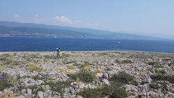 Plaza Mala'in fotoğrafı vahşi alan