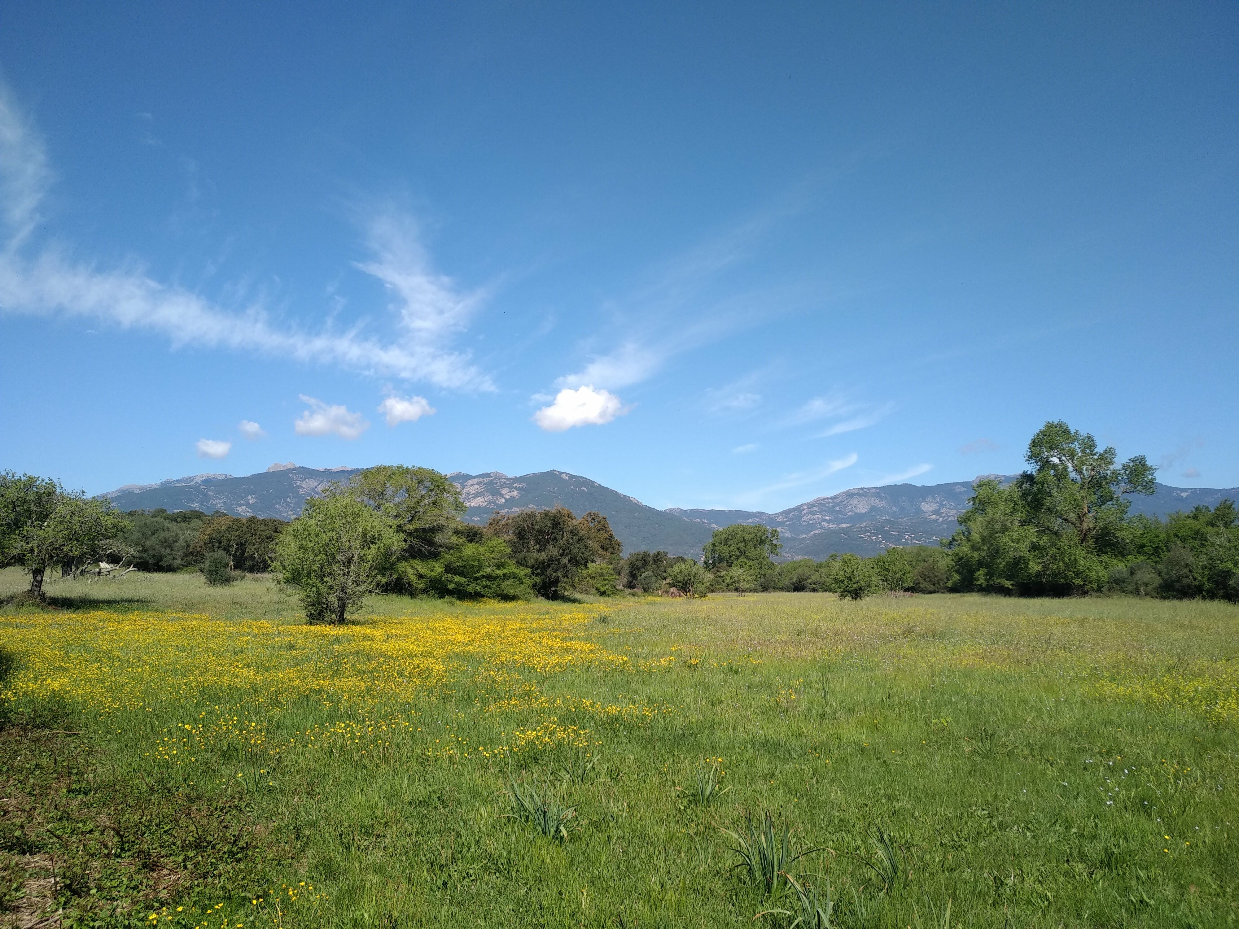 Photo n° 2 de l'avis de Jean-Paul.a fait le 17/06/2019 à 12:17