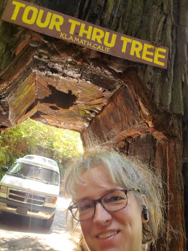 Tourist Attraction «Klamath Tour Thru Tree», reviews and photos, 430 California 169, Klamath, CA 95548, USA