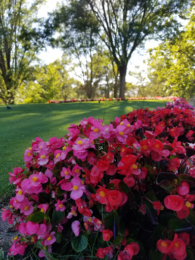 Golf Course «Crow Canyon Country Club», reviews and photos, 711 Silver Lake Dr, Danville, CA 94526, USA