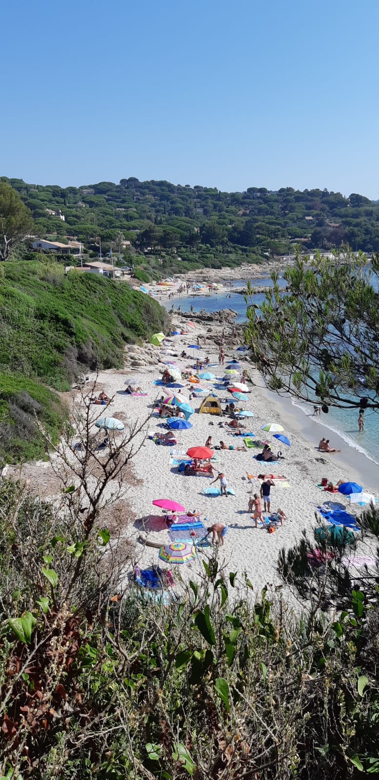 Photo n° 3 de l'avis de Massimo. fait le 19/08/2019 à 16:45