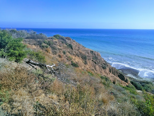 Market «Trancas Country Market», reviews and photos, 30745 Pacific Coast Hwy, Malibu, CA 90265, USA