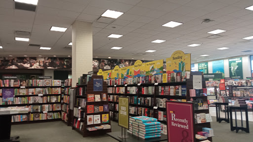 Book Store «Barnes & Noble bookstore», reviews and photos, 4005 N 10th St, McAllen, TX 78504, USA