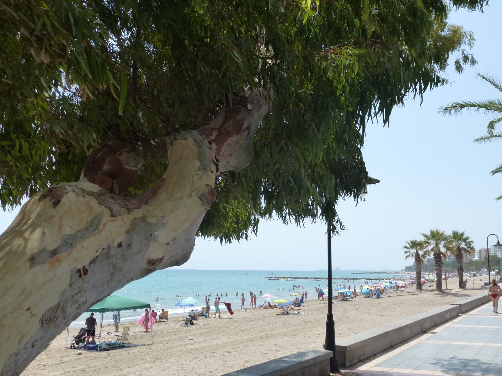 Platja Heliopolis photo #9