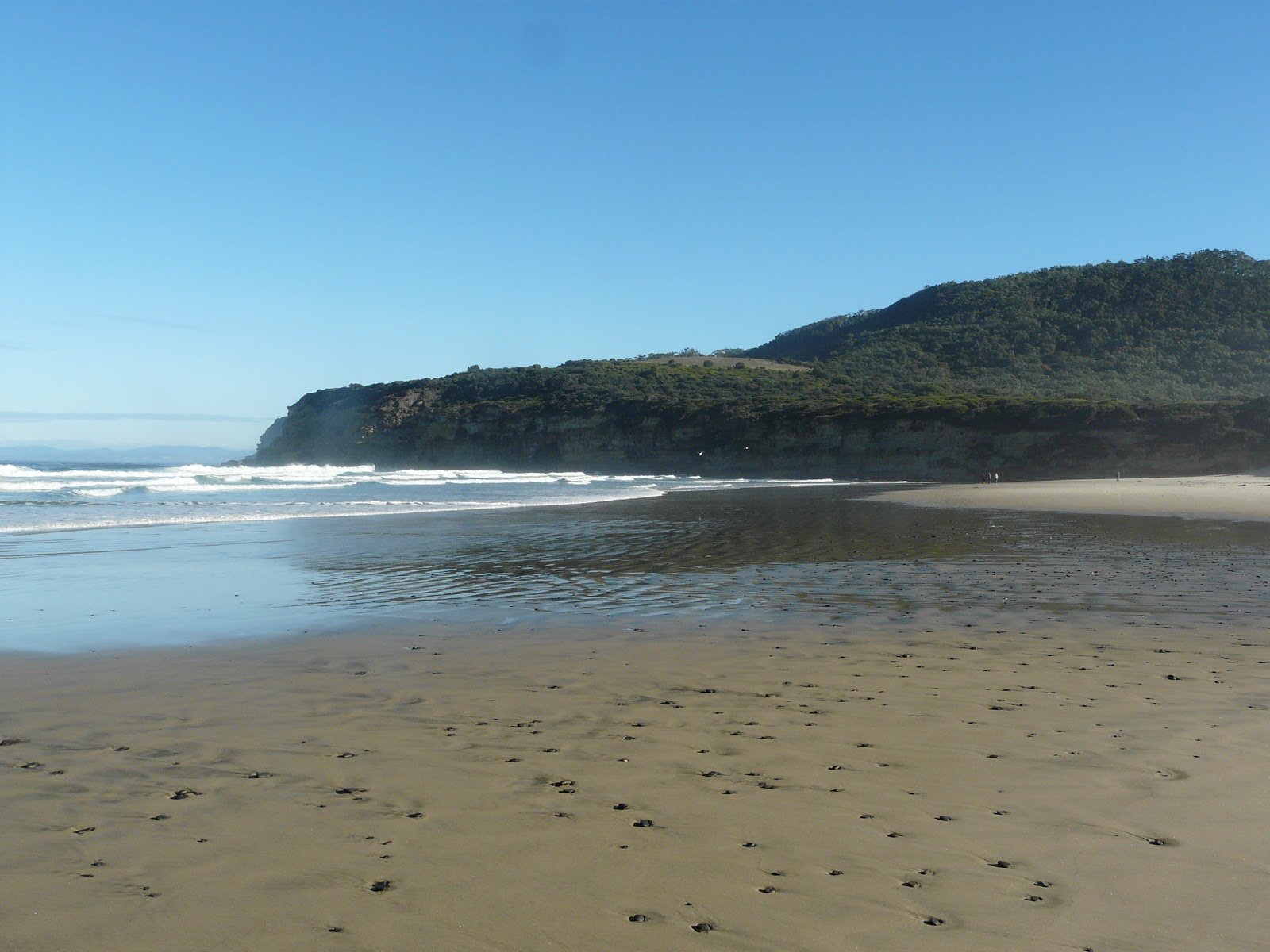 Roaring Beach Beach'in fotoğrafı çok temiz temizlik seviyesi ile