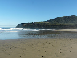 Roaring Beach Beach'in fotoğrafı çok temiz temizlik seviyesi ile