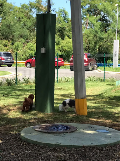 Dog Park Parque para Perros