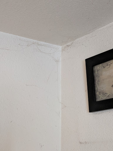 House Cleaning Service «Molly Maid», reviews and photos, 3640 S Cedar St, Tacoma, WA 98409, USA