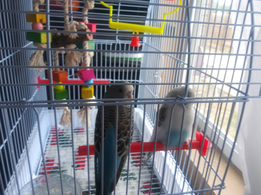 Pet Supply Store «Mini Ranch Feed Store», reviews and photos, 10103 Moursund Blvd, San Antonio, TX 78221, USA