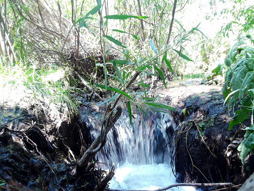 Park «Stetson Park», reviews and photos, 4870 Jedediah Smith Rd, Colorado Springs, CO 80922, USA