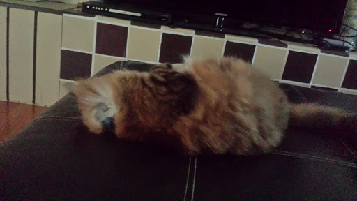 National Park «George Rogers Clark National Historical Park», reviews and photos, 401 S 2nd St, Vincennes, IN 47591, USA