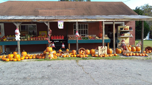 Discount Store «Dollar General», reviews and photos, 823 GA-362, Williamson, GA 30292, USA