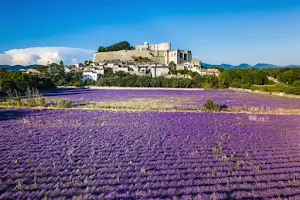 Château de Grignan image