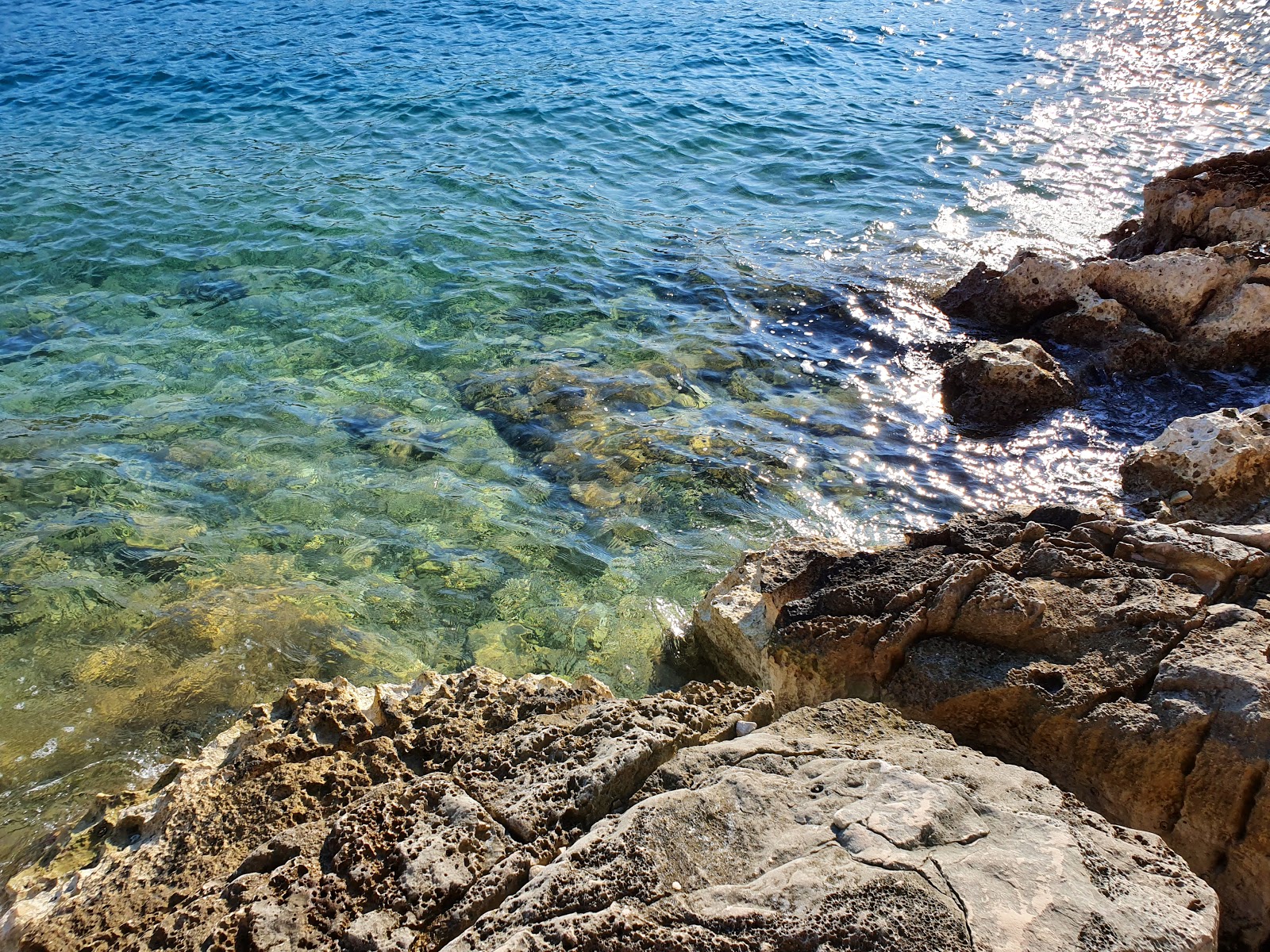 Foto av Wild beach och dess vackra landskap