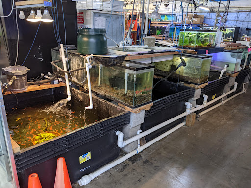 Pet Store «A to Z Pets», reviews and photos, 16010 SE Division St, Portland, OR 97236, USA