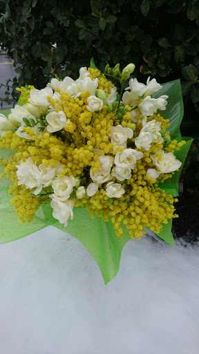 Florist «Victoria Flower Company», reviews and photos, 10869 Bustleton Ave, Philadelphia, PA 19116, USA