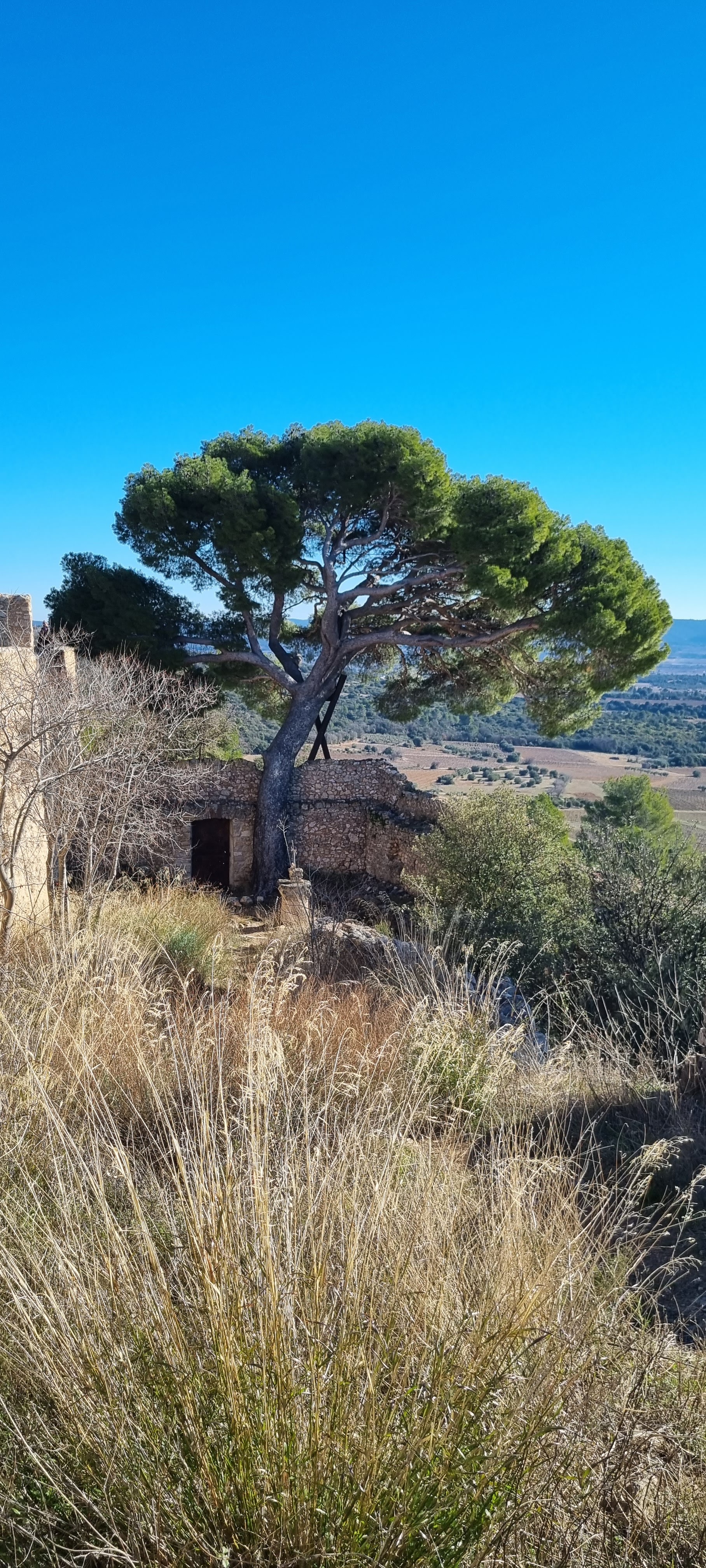 Photo n° 1 de l'avis de Thirion.e fait le 23/01/2022 à 13:02