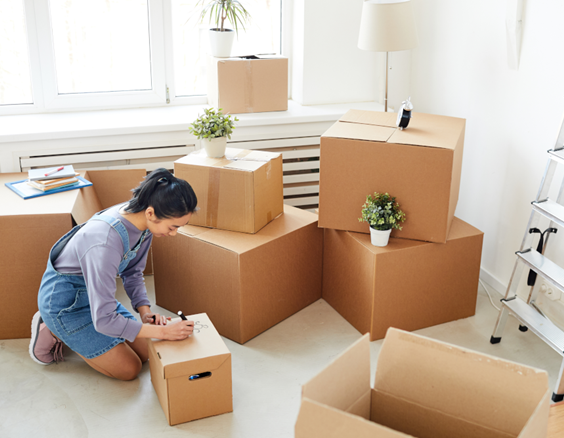 Reviews of East Coast Removals Ltd in Ipswich - Moving company