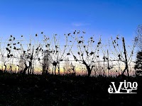 eVinoエヴィーノ