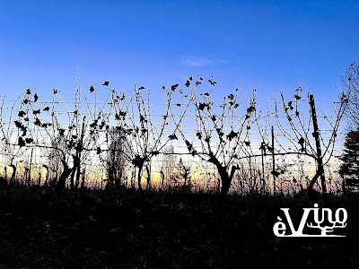 eVinoエヴィーノ