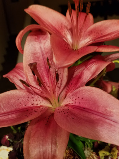 Florist «Cactus Flowers», reviews and photos, 2040 S Alma School Rd, Chandler, AZ 85286, USA