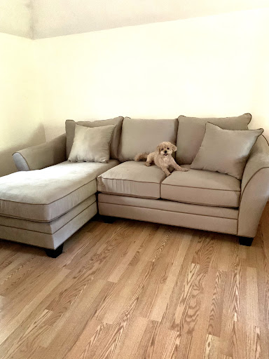 Furniture Store «Raymour & Flanigan Furniture and Mattress Store», reviews and photos, 3147 Middle Country Rd, Lake Grove, NY 11755, USA