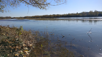 Les Belles de Touraine à Vernou-sur-Brenne