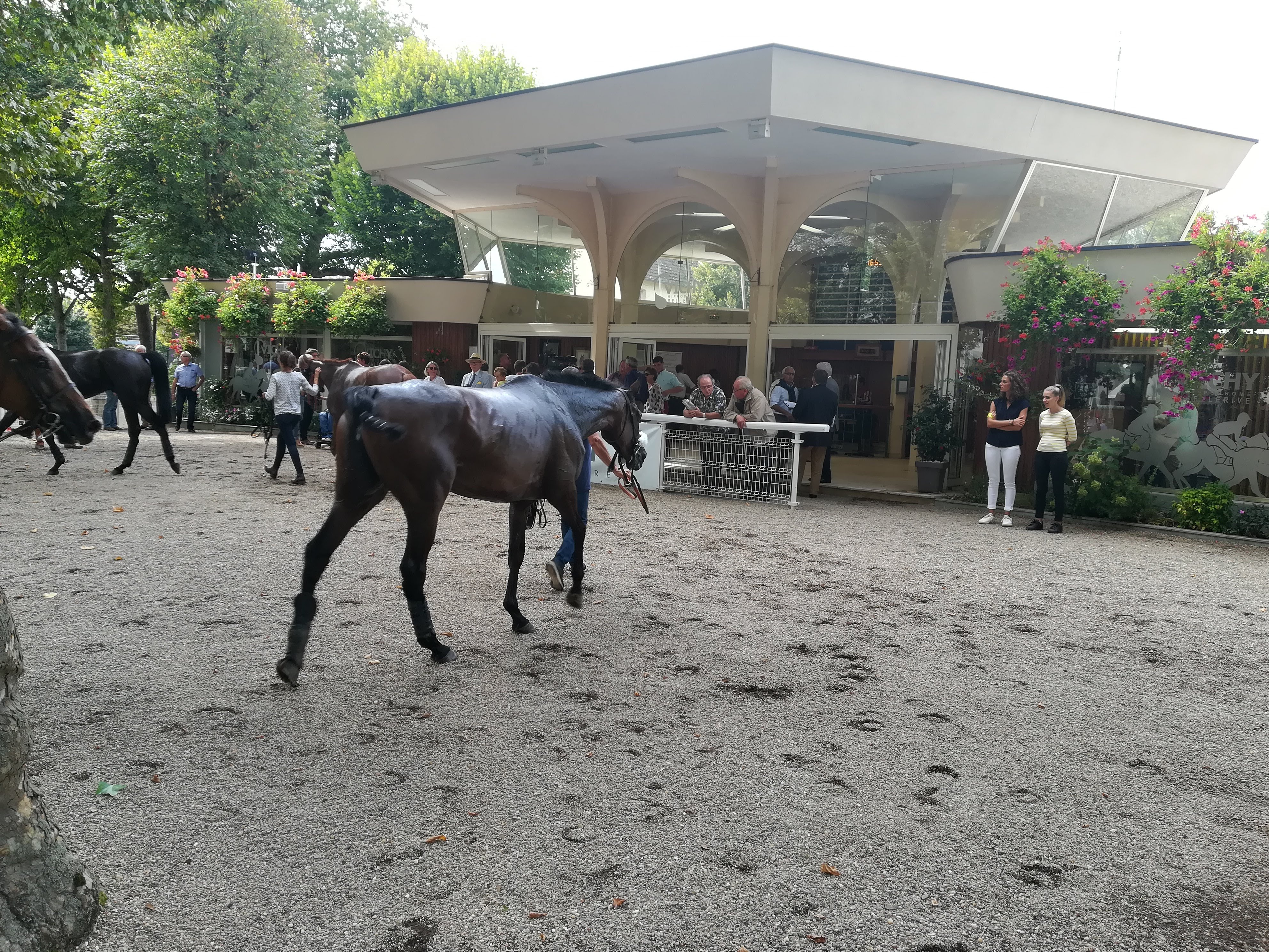 Photo n° 21 de l'avis de Salomon.a fait le 05/09/2018 à 18:40