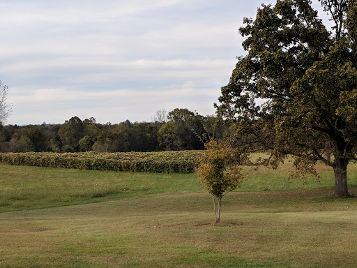 American Restaurant «The Timberdoodle Restaurant at Eddy Grove Vineyard», reviews and photos, 300 Martin Rd, Princeton, KY 42445, USA
