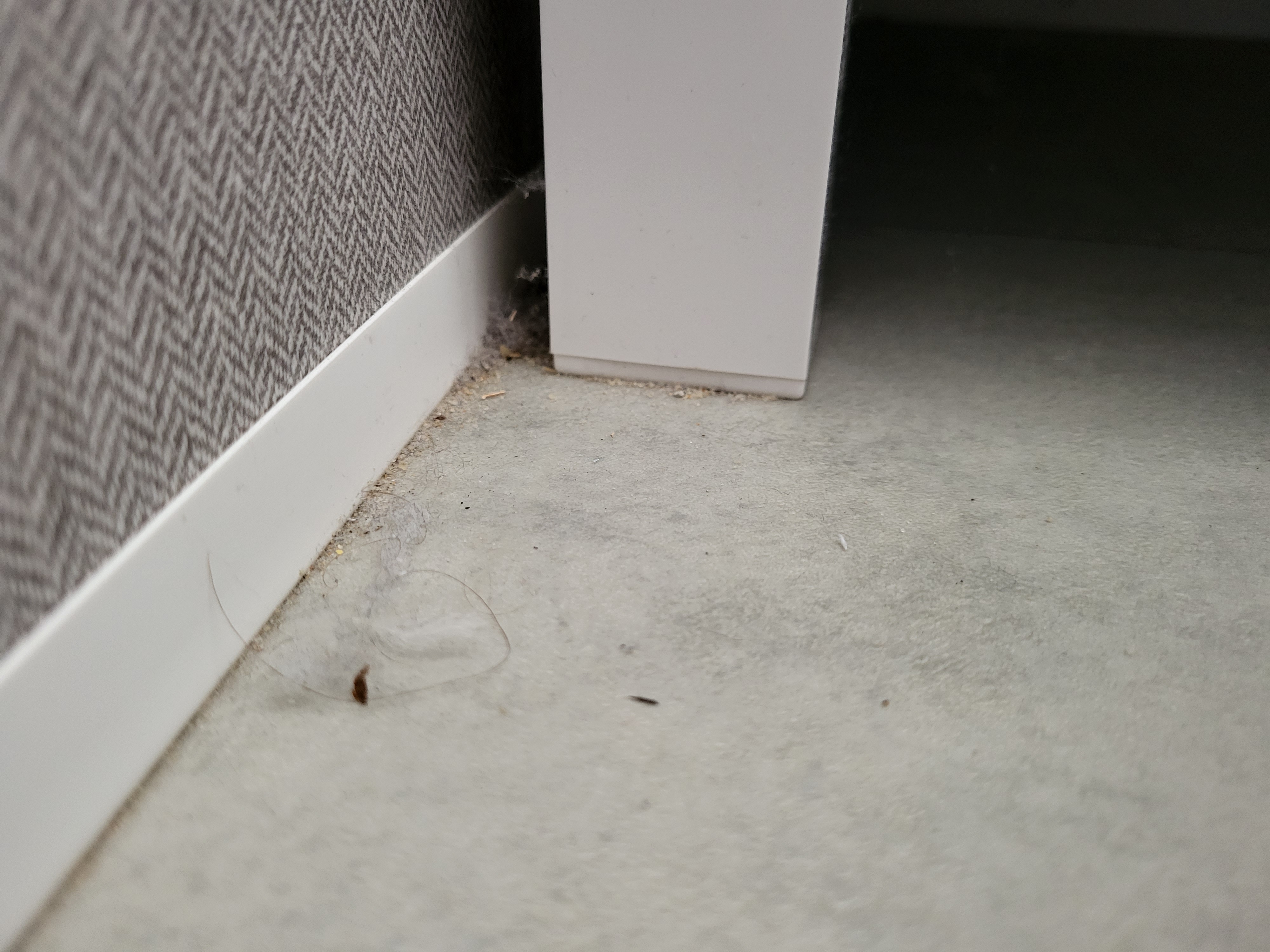 Photo n° 5 de l'avis de Aurélien.a fait le 03/05/2023 à 18:40