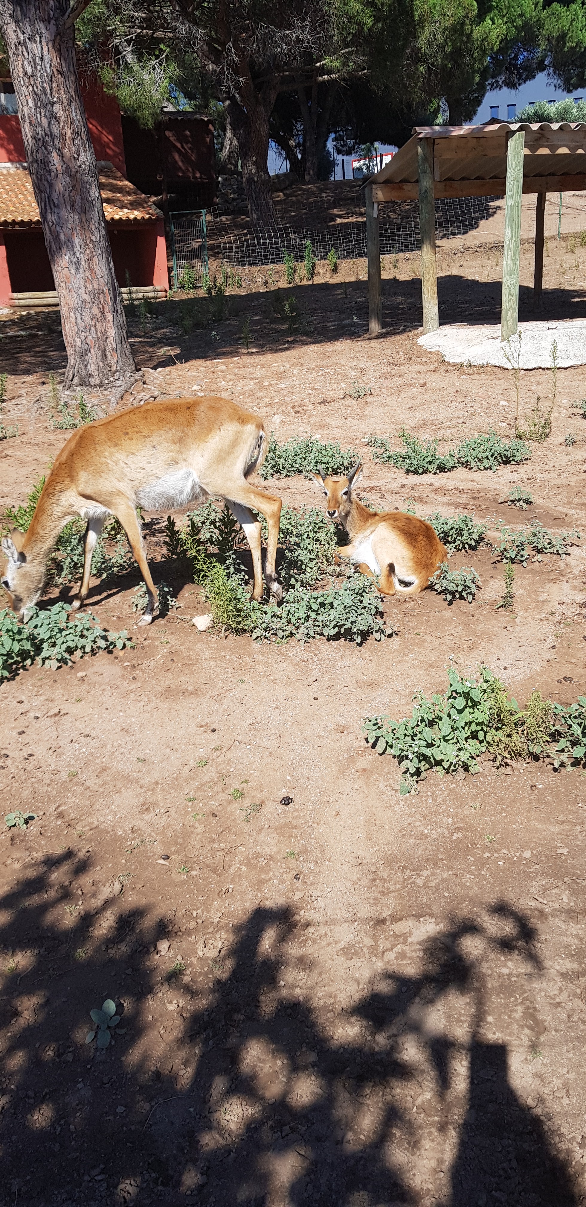 Photo n° 40 de l'avis de stephanie.a fait le 05/08/2018 à 15:29