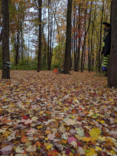 Park «Ira Township Park», reviews and photos, 7085 Meldrum Rd, Ira Township, MI 48023, USA