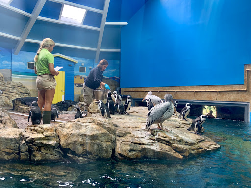 Zoo «Turtle Back Zoo», reviews and photos, 560 Northfield Ave, West Orange, NJ 07052, USA