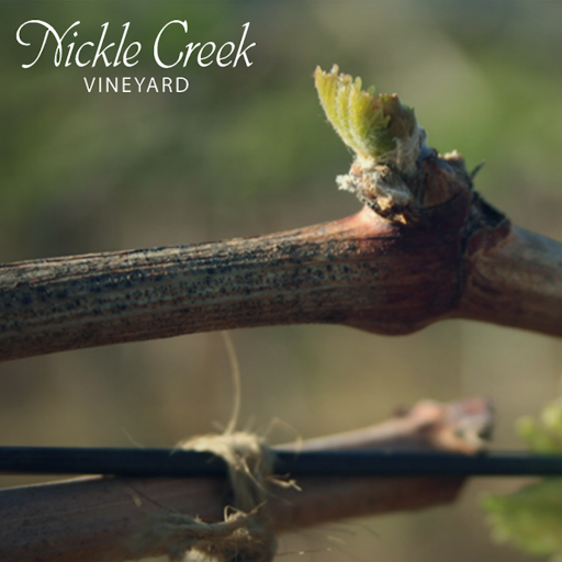 Vineyard «Nickle Creek Vineyard», reviews and photos, 12 King Rd, Foster, RI 02825, USA