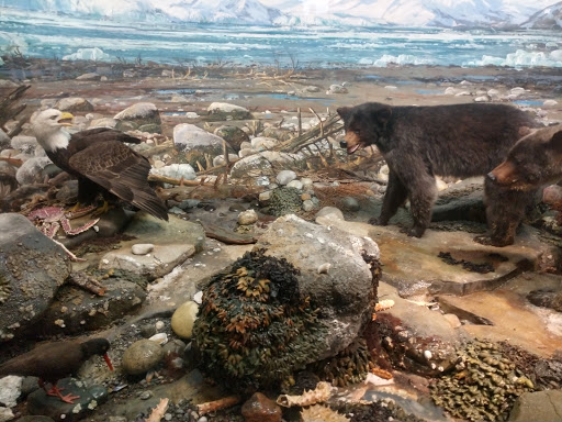 Art Museum «Carnegie Museum of Art», reviews and photos, 4400 Forbes Ave, Pittsburgh, PA 15213, USA