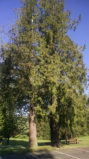 Community Center «North Kirkland Community Center», reviews and photos, 12421 103rd Ave NE, Kirkland, WA 98034, USA