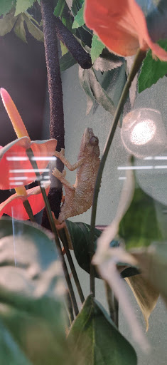 Pet Supply Store «Pet Supplies Plus», reviews and photos, 3100 Manchester Rd, Akron, OH 44319, USA