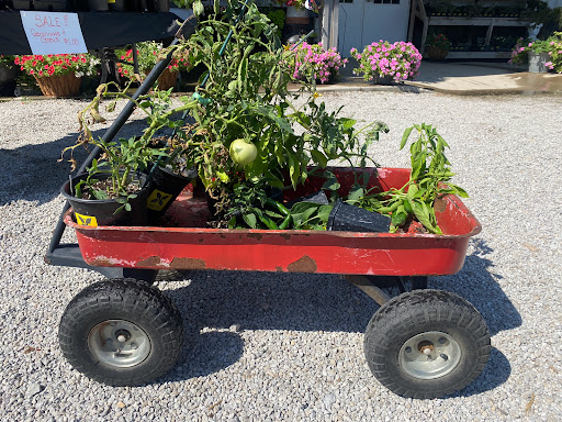 Produce Market «Kroul Farms», reviews and photos, 245 IA-1, Mt Vernon, IA 52314, USA