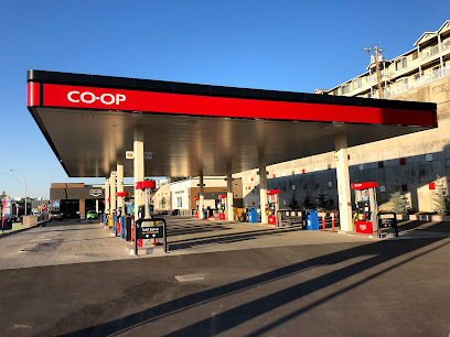 Co-op Gas Station Mission