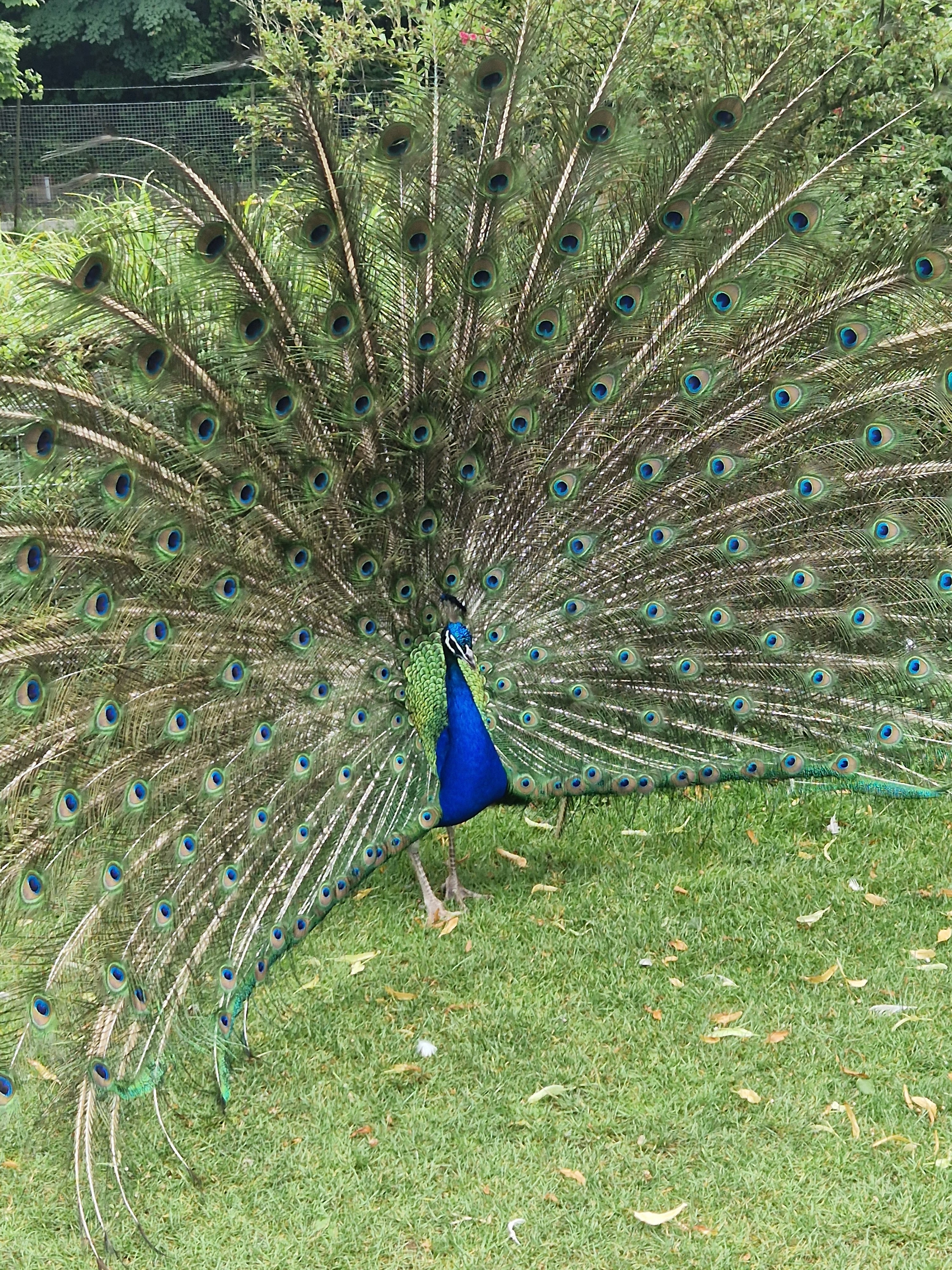 Photo n° 5 de l'avis de Delphine.l fait le 18/07/2023 à 13:34