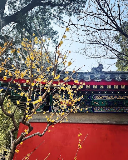 北京植物园东南门