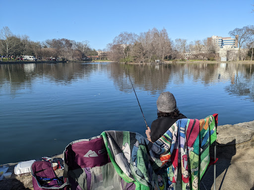 Park «Centennial Park», reviews and photos, 2500 West End Ave, Nashville, TN 37203, USA