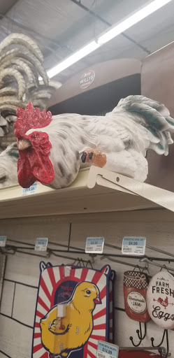 Home Improvement Store «Tractor Supply Co.», reviews and photos, 6922 FL-77, Southport, FL 32409, USA