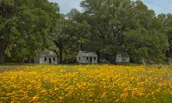 McLeod Plantation Historic Site