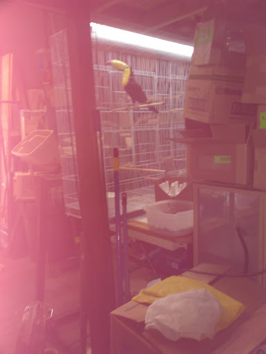 Bird Shop «Birdman Pet Shop», reviews and photos, 3520 N Figueroa St, Los Angeles, CA 90042, USA